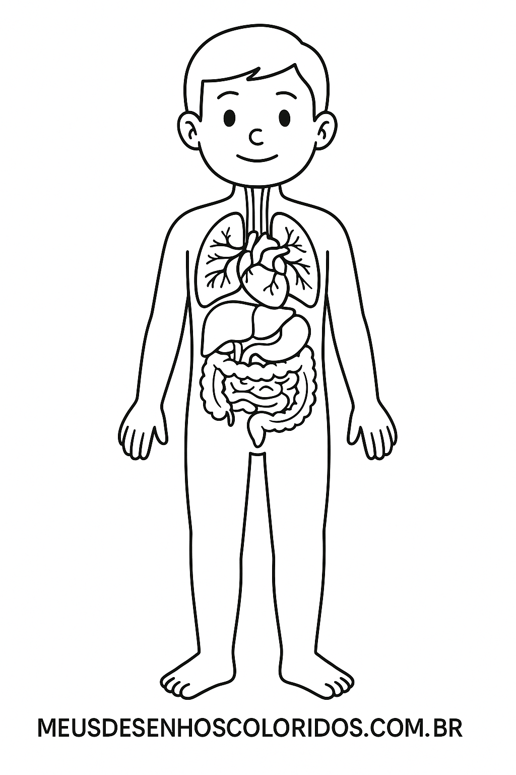 corpo humano